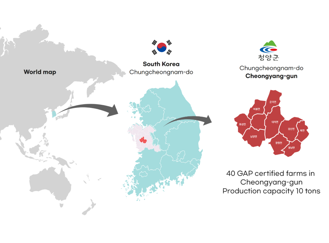 Origin map of Cheongyang-gun